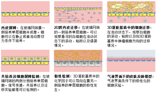 QQå¾ç20160422153347.png