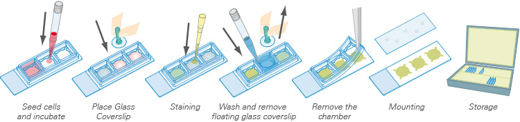 E_8XXXX_Chamber_removable_2.jpg