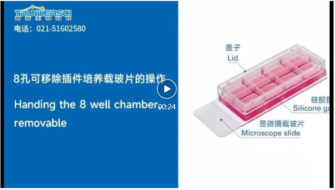 微信图片_20250626163608.png