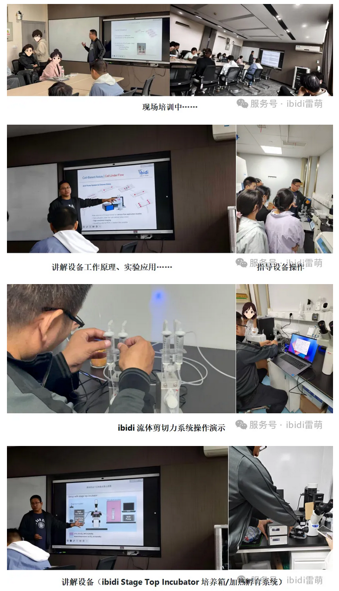 Screenshot 2025-10-24 at 13-47-42 【雷萌生物】技术赋能科研 ibidi流体剪切力系统&活细胞工作站装机培训圆满落幕.png