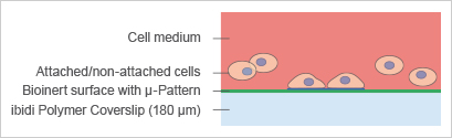 S_83XXX_pattern_principle.jpg