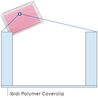 ANI_P_82427_filling_Plate_24Well_gb_HappyCell_336_grey_walls.gif