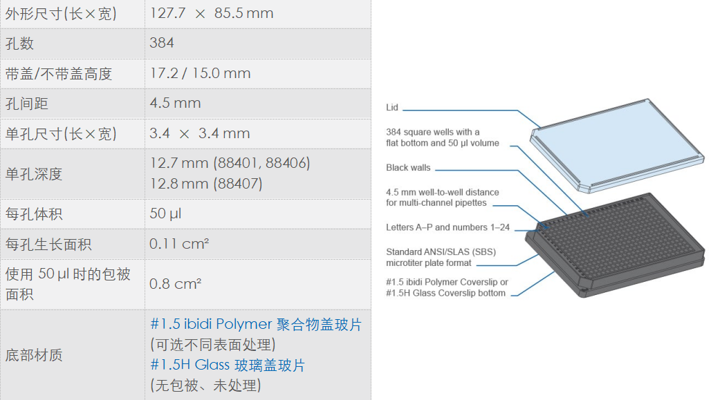 7884e80a-43c5-4ac9-bc4a-98c01622e105.png